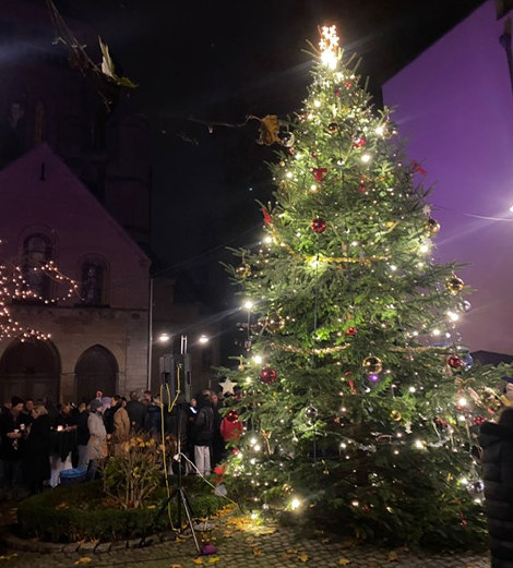 Elf Jahre Weihnachtsbaum vor der Basilika St. Gereon